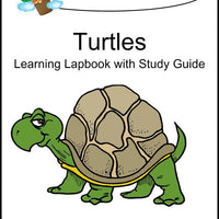 Turtles Lapbook with Study Guide - A Journey Through Learning Lapbooks 