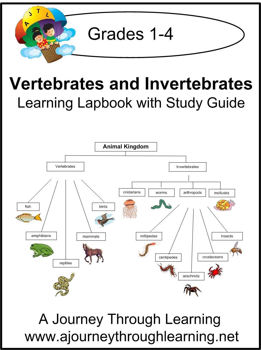 Vertebrates and Invertebrates Lapbook with Study Guide