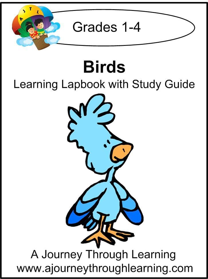 Birds Lapbook with Study Guide - A Journey Through Learning Lapbooks 
