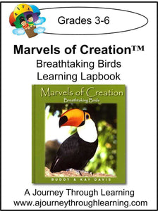 New Leaf Press- Marvels of Creation: Breathtaking Birds Lapbook - A Journey Through Learning Lapbooks 