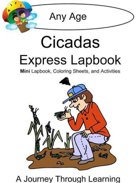 Cicadas Express Lapbook - A Journey Through Learning Lapbooks 