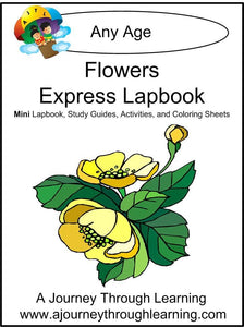 Flowers Express Lapbook - A Journey Through Learning Lapbooks 