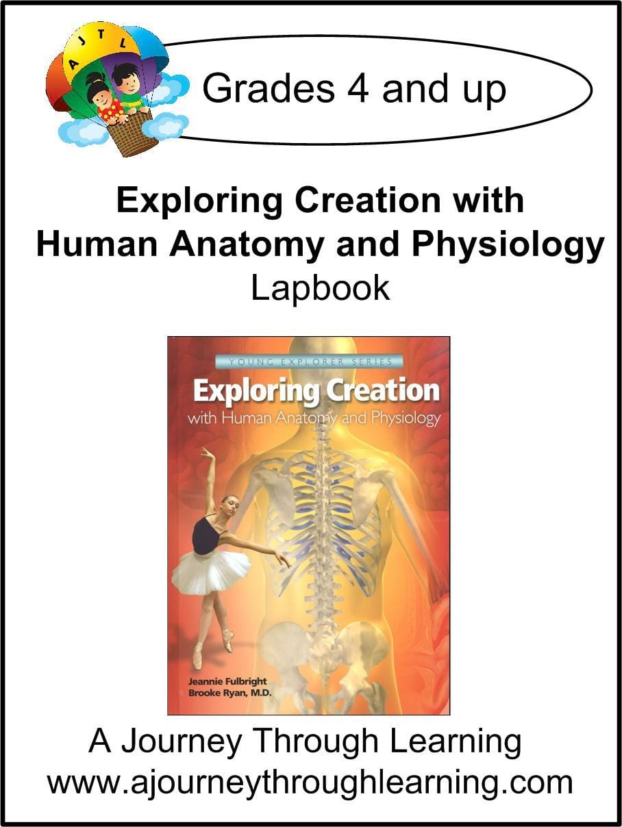 Exploring Creation with Human Anatomy and Physiology -Jeannie Fulbright/Apologia Lapbook - A Journey Through Learning Lapbooks 